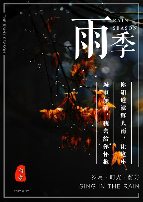 代办美国护照卡扫描件